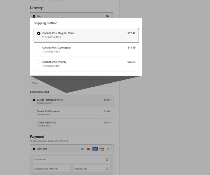 screenshot of shipping options for non-perishable products for online flower store
