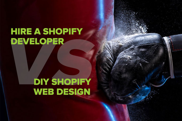 developer vs web designer